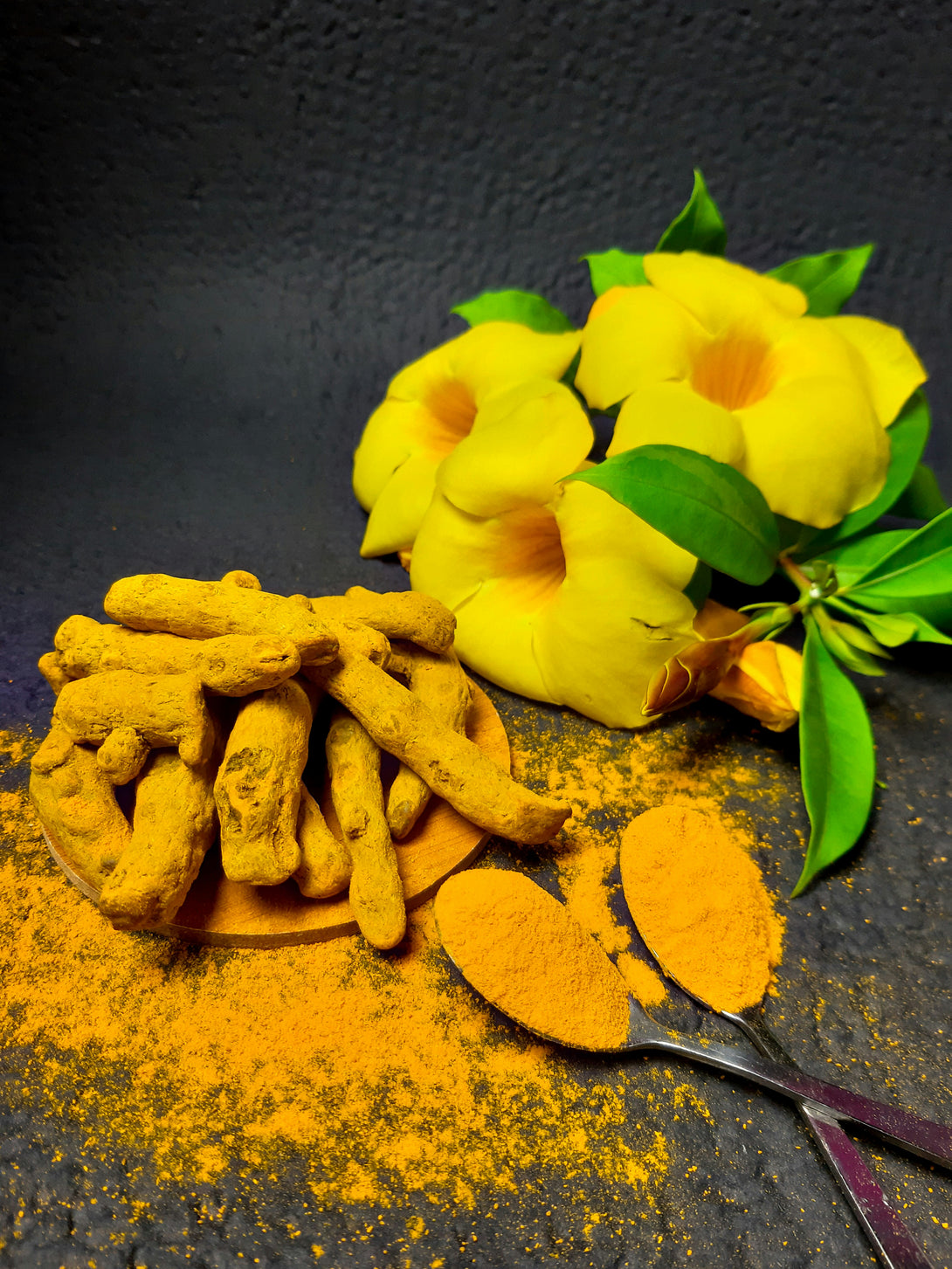 Poudre de Curcuma